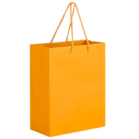 Custom Printed Matte Laminated Euro Tote Bag 8x4x10