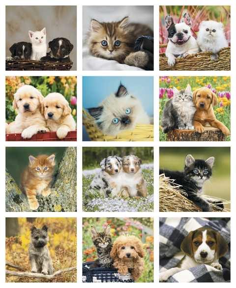 Personalized Puppies & Kittens Mini Calendar Printed
