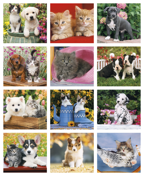 Personalized Puppies & Kittens Mini Calendar Printed