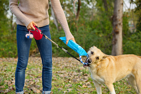 Custom Crunch-It Dog Toy
